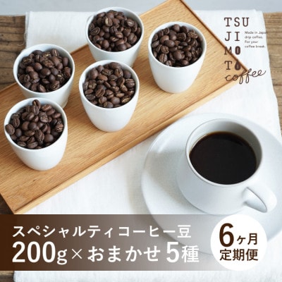 【毎月定期便】スペシャルティコーヒー豆　5種おまかせセット　豆のまま　辻本珈琲全6回