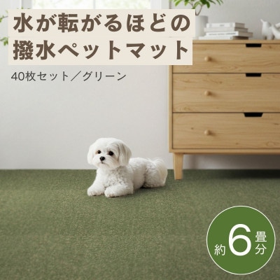 水が転がる程の撥水性!防水ペットマット「UKU」40枚セット グリーン【複数個口で配送】