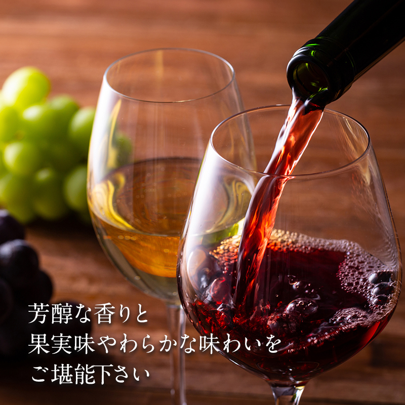 ワイン カタシモワイナリー プレミアムワイン 10～12本 詰め合わせ セット 酒 お酒 メルロー シャルドネ お楽しみ 国産 アルコール