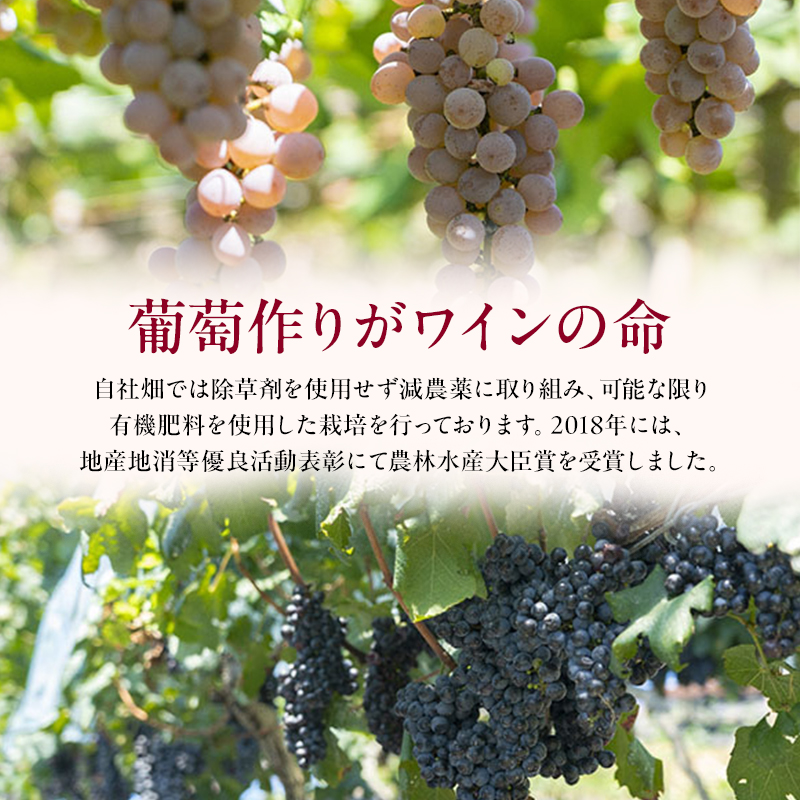 ワイン 柏原醸造ワイン 赤 白 辛口 各1本 ぶどうジュース 1本 セット お楽しみ 詰め合わせ 酒 お酒 赤ワイン 白ワイン 国産 アルコール
