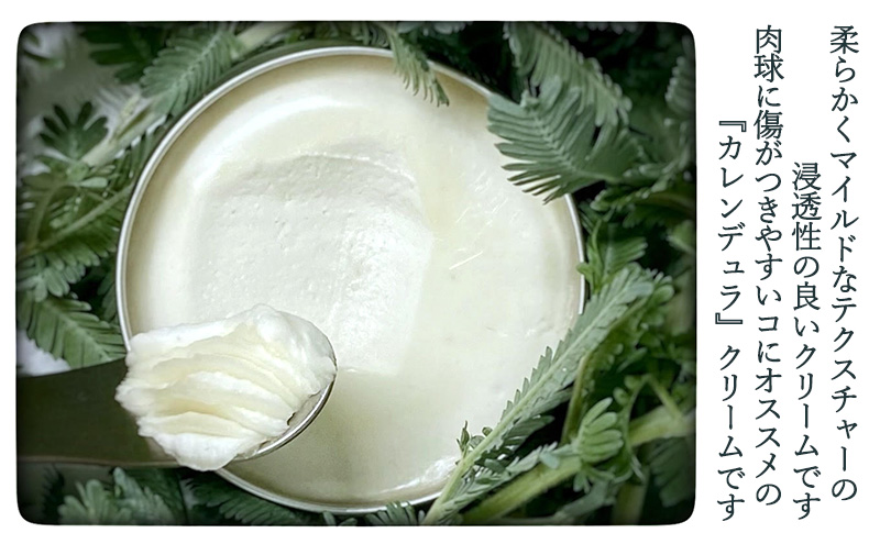 ワンちゃん用　オーガニック肉球クリーム 30ml（カレンデュラ）無添加 柏原市産有機ハーブ 防腐剤無添加 界面活性剤無添加 合成着色料無添加 香料無添加 カモミール 犬