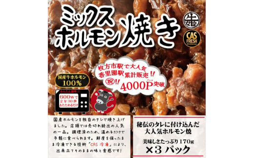 ＜チンするだけ！＞【秘伝のタレ漬け】国産牛ミックスホルモン焼き510ｇ（170ｇ×3パック）［鮮度を保つCAS冷凍］ 【 大阪府 門真市 】