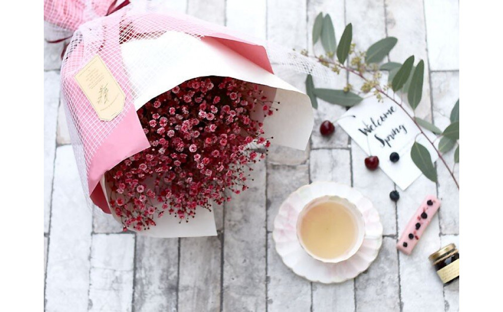 チェリーかすみの花束 かすみ草 カスミソウ 花束 花 誕生日 成人式 卒業祝い 初節句 ひな祭り バレンタイン お返し 結婚 ウエディング 送別 祝い プレゼント 結婚祝い お礼 花束 赤いかすみ草 チェリー レッド 生花ドライフラワーにも 送料無料 お母さん 記念日