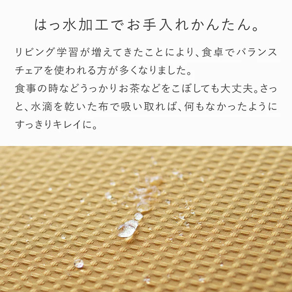 バランスイージー専用はっ水カバー（クラシックブルー）ドットワッフル【 バランスイージー カバー 大阪府 門真市 】