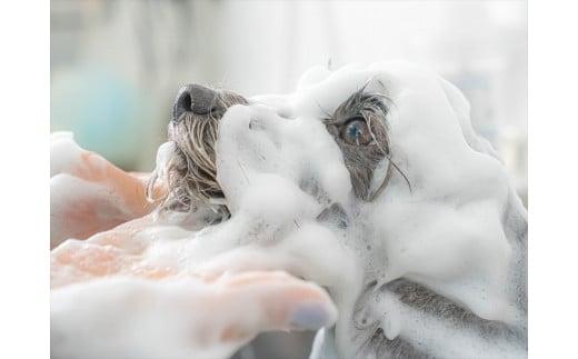 UONLY　ペットサロンチケット　1,000円×5枚【 ペットサロン 利用券 ウォンリー 大阪府 門真市 】