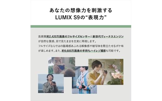パナソニック フルサイズミラーレス一眼カメラ ルミックス DC-S9N-D【 デジタルカメラ 大阪府 門真市 】