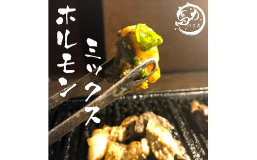 ＜チンするだけ！＞【秘伝のタレ漬け】国産牛ミックスホルモン焼き510ｇ（170ｇ×3パック）［鮮度を保つCAS冷凍］ 【 大阪府 門真市 】