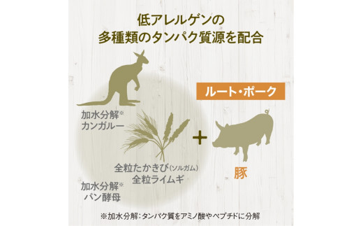 ドライドッグフード　ルート・ポーク パウダー 400g