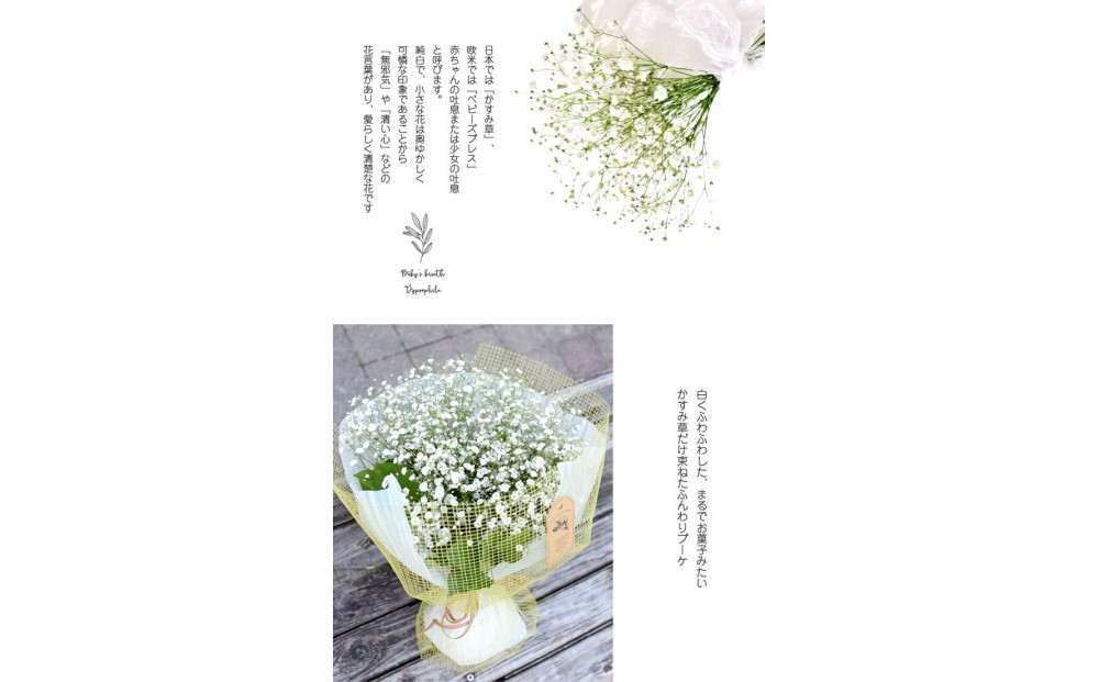 かすみそうの花束 かすみ草 カスミソウ 花束(小さいサイズ) 花 誕生日 成人式 卒業祝い 初節句 ひな祭り バレンタイン お返し 結婚 ウエディング 送別 祝い プレゼント ギフト 結婚祝い お礼 花束 生花 ドライフラワーにも 送料無料 退職祝い お母さん 記念日