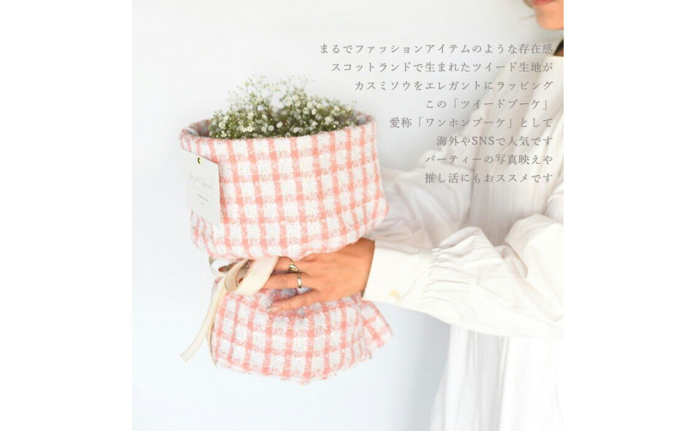 かすみそう「ツイードブーケ」 かすみ草 カスミソウ 花束(小さいサイズ) 花 誕生日 成人式 卒業祝い 初節句 ひな祭り バレンタイン お返し 結婚 ウエディング 送別 祝い プレゼント ギフト 結婚祝い お礼 花束 生花 ドライフラワーにも 送料無料 退職祝い お母さん 記念日