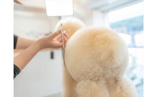 UONLY　ペットサロンチケット　1,000円×10枚【 ペットサロン 利用券 ウォンリー 大阪府 門真市 】