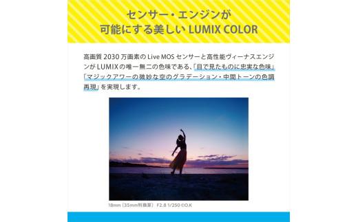 パナソニック デジタル一眼カメラ ルミックス　DC-G100DK-K【 デジタルカメラ 大阪府 門真市 】