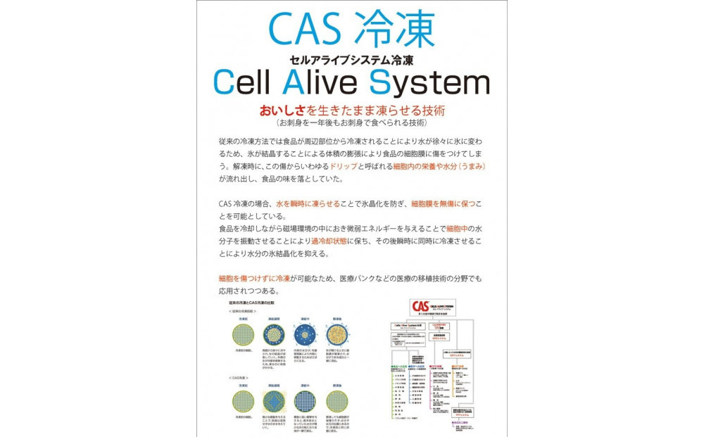 近江牛 ひとくちカット 小腸500ｇ【 近江牛 ハラルビーフ ホルモン 】