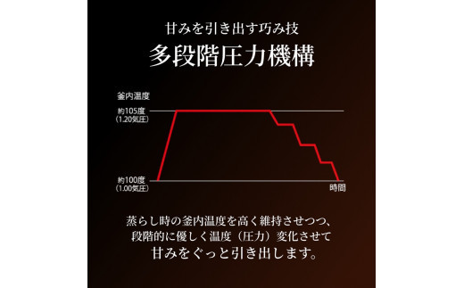 ＜2025年度新製品＞タイガー魔法瓶 土鍋圧力IH炊飯器 JPL-Y100KG エボニーブラック 5.5合炊き【 家電 炊飯器 大阪府 門真市 】