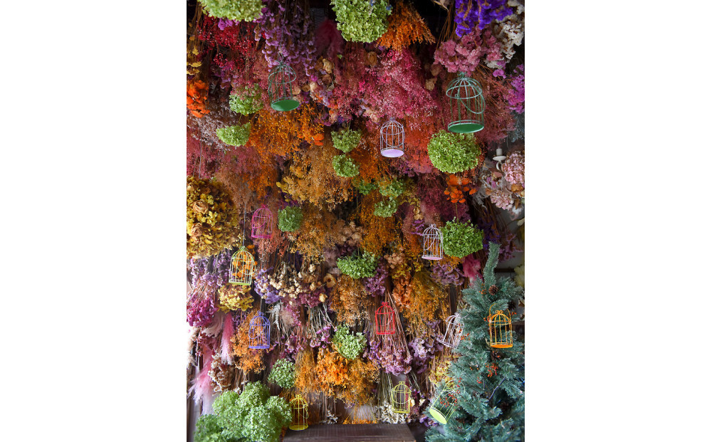 花の異空間　レンタルスペース（2名様・2時間）〈月～土　am9:00～pm5:00〉