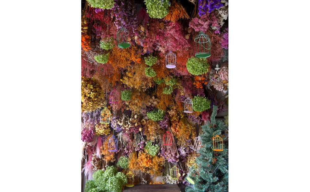 花の異空間　レンタルスペース（3名様・2時間）〈月～土　am9:00～pm5:00〉