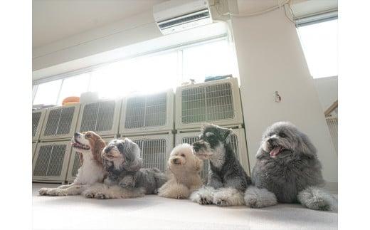 UONLY　ペットサロンチケット　1,000円×3枚【 ペットサロン 利用券 ウォンリー 大阪府 門真市 】