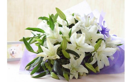 【定期便 12か月】月命日の花贈り定期便（12ヶ月）【月命日　花贈り お花　離れて住まうご家族へ気持ちを届けられるお花　お手入れ説明書　延命剤付き　ご家庭向けの包装　 大阪府 門真市 】