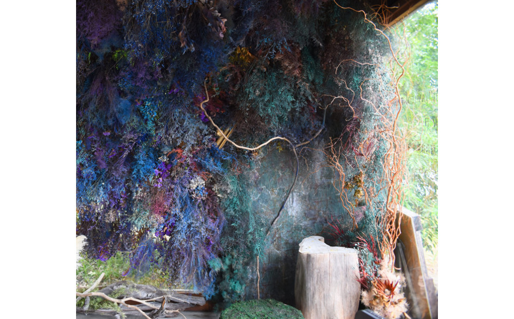 花の異空間　レンタルスペース基本プラン（3名様・1日貸し）〈日am 8:00～pm8:00(最大7H)〉