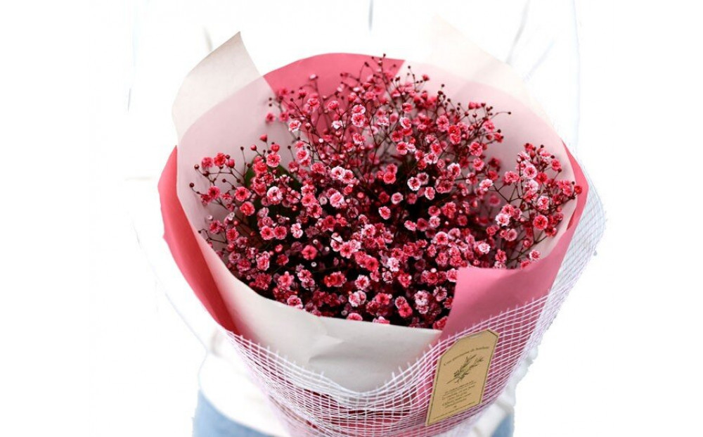 チェリーかすみの花束 かすみ草 カスミソウ 花束 花 誕生日 成人式 卒業祝い 初節句 ひな祭り バレンタイン お返し 結婚 ウエディング 送別 祝い プレゼント 結婚祝い お礼 花束 赤いかすみ草 チェリー レッド 生花ドライフラワーにも 送料無料 お母さん 記念日