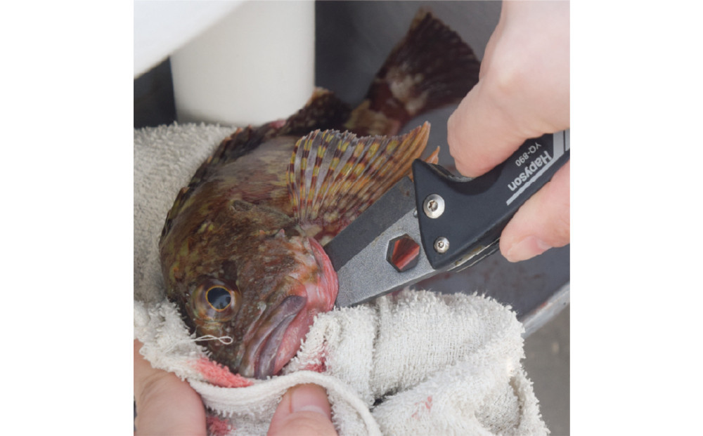 津本式 計測 マルチ絞め具 ナイフ付き ピック付き アジなど小型魚〜10kg大型魚まで対応 脳絞め 内絞め エラ膜切り コンパクト 使いやすい 魚 処理 血抜きに役立つ 有名 人気 魚釣り フィッシング 専用ケース付き おすすめ