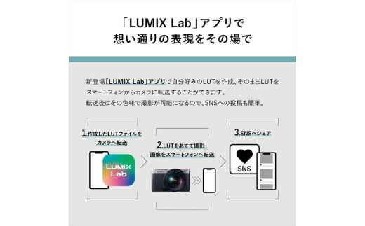 パナソニック フルサイズミラーレス一眼カメラ ルミックス DC-S9N-D【 デジタルカメラ 大阪府 門真市 】
