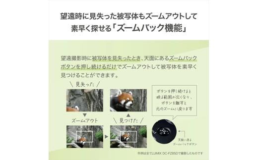 パナソニック コンパクトデジタルカメラ ルミックス　DC-FZ85D-K【 デジタルカメラ 大阪府 門真市 】