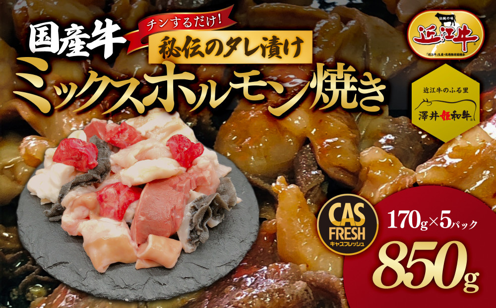 ＜チンするだけ！＞【秘伝のタレ漬け】国産牛ミックスホルモン焼き850ｇ（170ｇ×5パック）［鮮度を保つCAS冷凍］【 大阪府 門真市 】