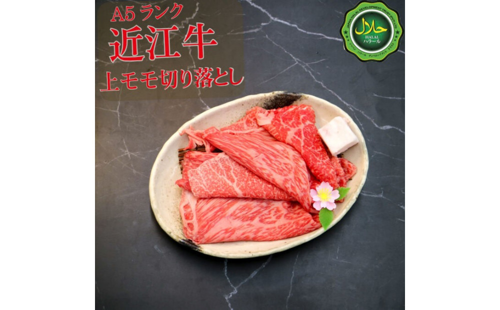 近江牛切り落とし250ｇ【 近江牛 ハラルビーフ 切り落とし 澤井姫和牛 】