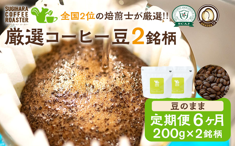 【コーヒー豆定期便】珈琲豆 200g×2銘柄 6ヶ月（豆のまま）