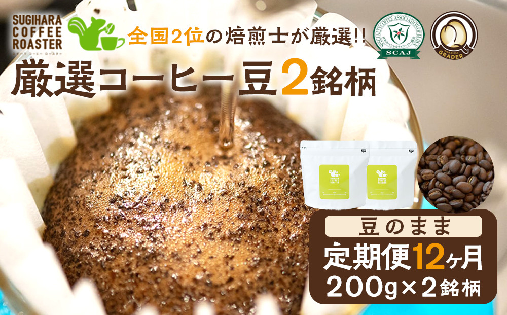 【コーヒー豆定期便】珈琲豆 200g×2銘柄 12ヶ月（豆のまま）