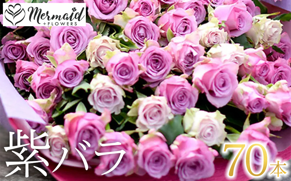 紫バラ70本【花 紫バラ ７０歳 古希 ７７歳 喜寿 ８０歳 傘寿 ９０歳 卒寿のお祝い 大切な方への贈り物 大阪府 門真市 】