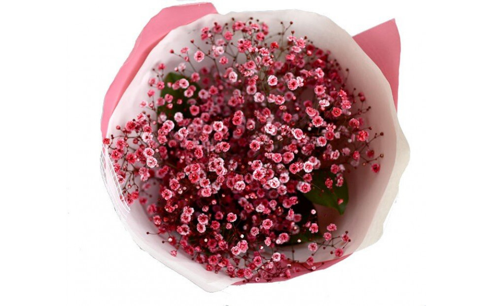 チェリーかすみの花束 かすみ草 カスミソウ 花束 花 誕生日 成人式 卒業祝い 初節句 ひな祭り バレンタイン お返し 結婚 ウエディング 送別 祝い プレゼント 結婚祝い お礼 花束 赤いかすみ草 チェリー レッド 生花ドライフラワーにも 送料無料 お母さん 記念日