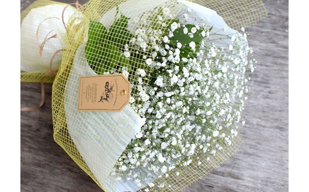 かすみそうの花束 かすみ草 カスミソウ 花束(小さいサイズ) 花 誕生日 成人式 卒業祝い 初節句 ひな祭り バレンタイン お返し 結婚 ウエディング 送別 祝い プレゼント ギフト 結婚祝い お礼 花束 生花 ドライフラワーにも 送料無料 退職祝い お母さん 記念日