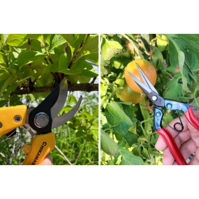 【3点セット(剪定鋏8・芽切鋏・ヤニクリーナー)】◇近正のハサミ