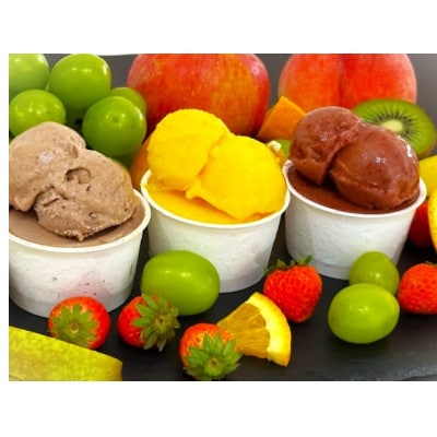 贈答用フルーツで作った季節のジェラート詰め合わせ【9個入り】【配送不可地域：離島】