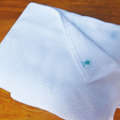 グリーンクラブ白タオル計20枚