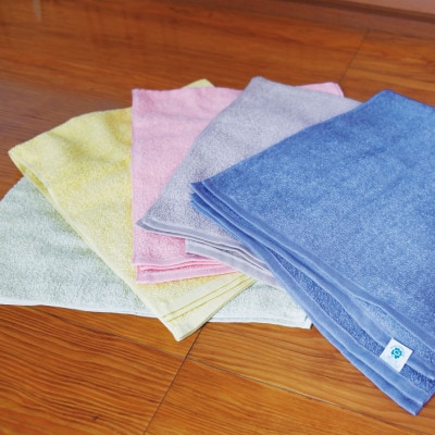 グリーンクラブ色彩物語カラータオル計10枚