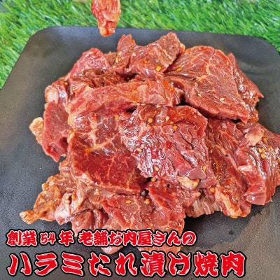 《約1.2kg》当店注文率No.1のハラミたれ漬け焼肉(甘口しょうゆ味)　ホットプレート派に人気【配送不可地域：離島】