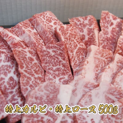 【特上ロース＆特上カルビ/ホルモン】特選焼肉たれ漬けセット 計900g【配送不可地域：離島】