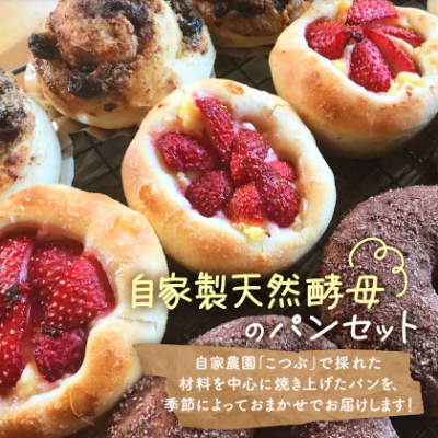 【10個入り】パン屋kotubuの自然の恵みのパンセット(小)【配送不可地域：離島】