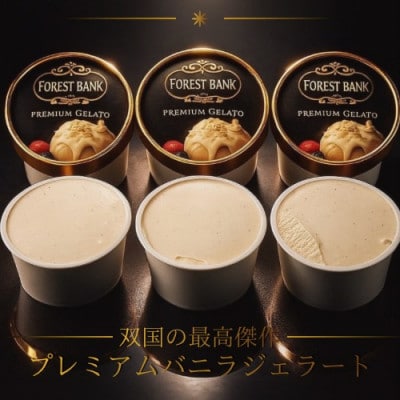 ふるさと納税限定　話題の『奇跡のバニラジェラート』 高石市×マダガスカルの万博コラボ商品【配送不可地域：離島】