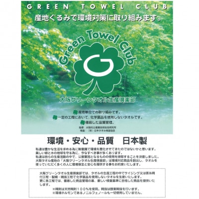 グリーンクラブ色彩物語カラータオル計10枚