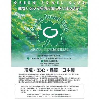 グリーンクラブ泉州透かし織トワイライトボーダータオル 計10枚