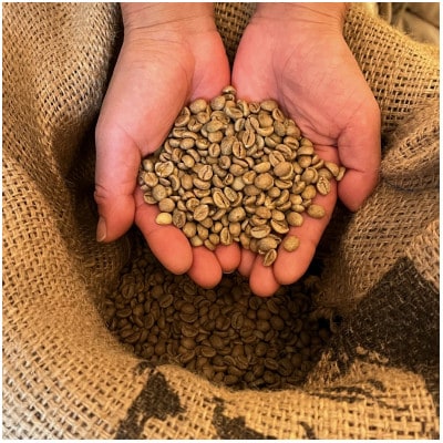 【毎月定期便】《豆3種計300g》ネコグラ珈琲焙煎所の煎りたて挽きたてコーヒーセット全6回