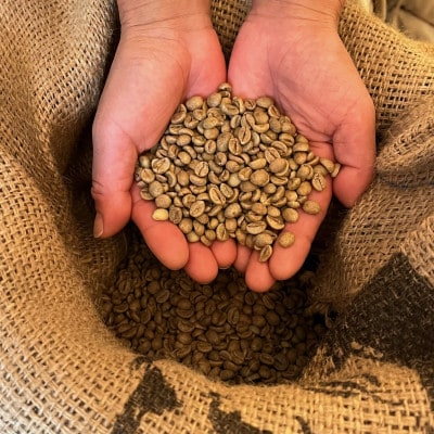 【毎月定期便】《粉3種計300g》ネコグラ珈琲焙煎所の煎りたて挽きたてコーヒーセット全6回