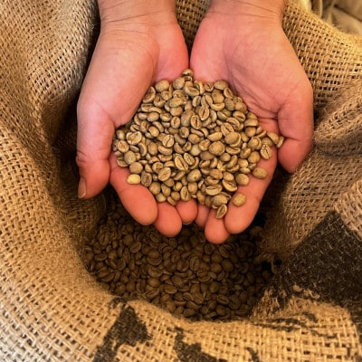 【2ヵ月毎定期便】《粉3種計300g》ネコグラ珈琲焙煎所の煎りたて挽きたてコーヒーセット全6回