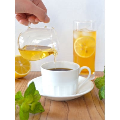 オーガニック 有機 アガベシロップ　500g×3本