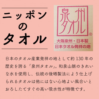 グリーンクラブ泉州透かし織トワイライトボーダータオル 計10枚