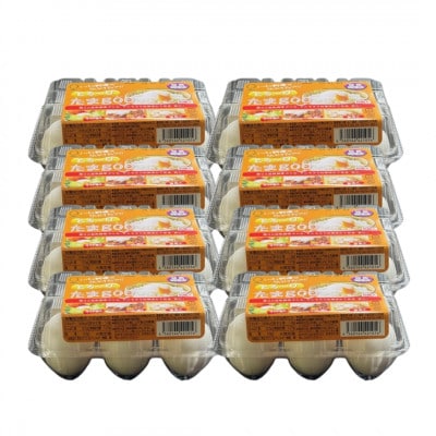 《とろ～りたまgoo 48個》こだわり温泉卵(6個入り×8パック)【配送不可地域：離島】